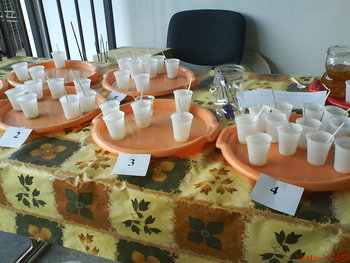 DSC04069.JPG