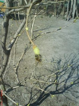 DSC04384.JPG