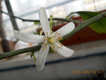 rsz_dscn2698.jpg