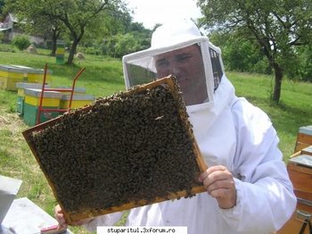salcam 2009 deal 4.jpg