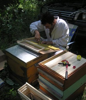 tei 2009 dragos.JPG
