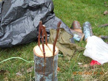 DSCN2702 (Medium) (Small).JPG