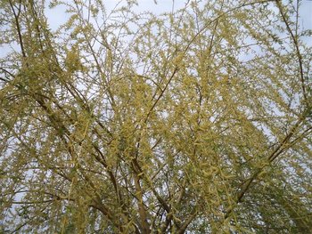 DSC01138 (Small).JPG
