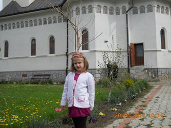 rsz_dscn2772.jpg