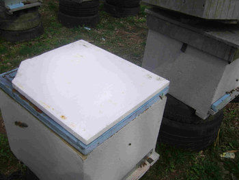 SSA42593.JPG