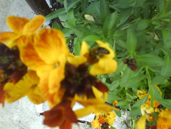 DSC04710.JPG