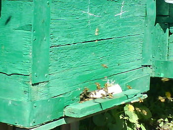 DSC04821.JPG