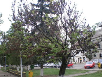 P5040386.JPG