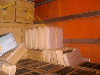 SANY3874.jpg