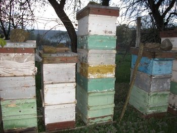 DSCF4670 (Small).JPG