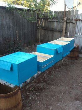IMG039 (Copy).jpg