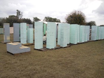 IMG_20120217_141058.jpg