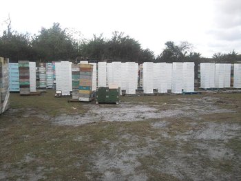 IMG_20120222_112044.jpg