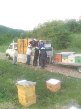 logistica.jpg