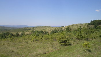 DSC01024.JPG