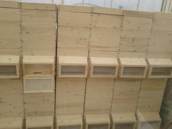 2012-02-24 13.42.11.jpg
