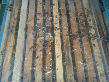2012-05-16 19.59.02.jpg
