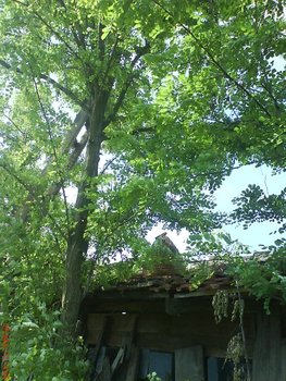 DSC05478.JPG