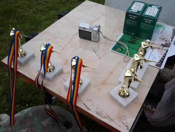 Cam sarac fondul de premii (Medium).jpg