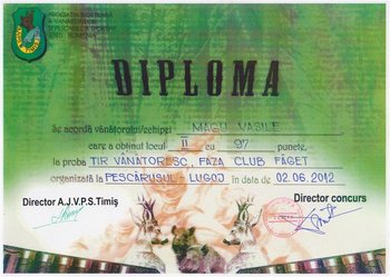 Diploma (Medium).jpg