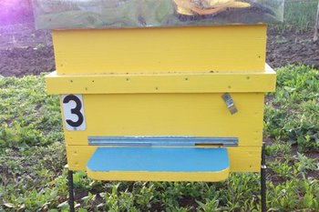 DSCF1025 (Small).JPG