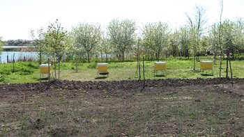 DSCF0977 (Small).JPG