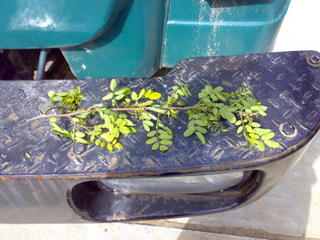 040520111540.jpg