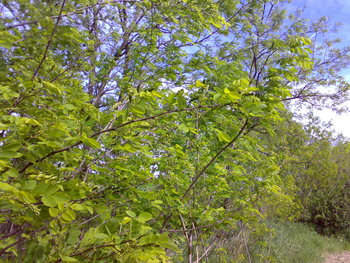 040520111537.jpg