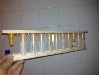 fz4.jpg