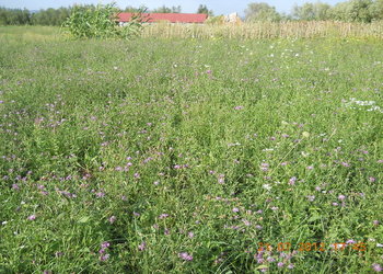 rsz_1dscn3235.jpg