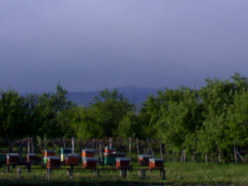 07052011434.jpg