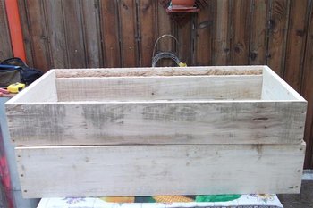 DSCF1088 (Small).JPG