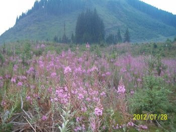 100_2560 (Small).JPG
