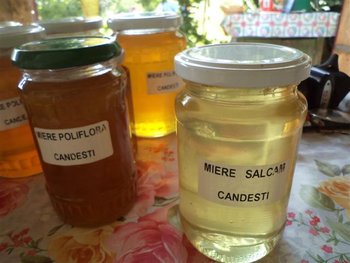 DSC02006 (Small).JPG