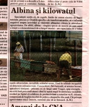 scan0001.jpg