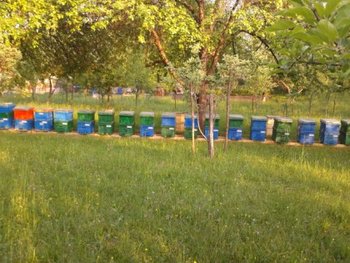 2012-05-10 19.30.39.jpg