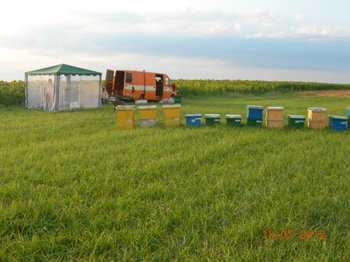 DSCN5431.jpg