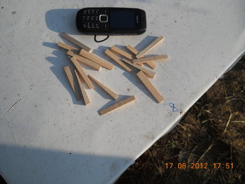 rsz_dscn3489.jpg