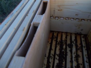 034.JPG