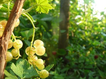 P1080353.JPG