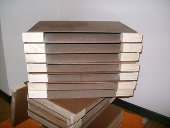 SANY4456.jpg