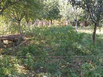 Picture 007 (Copy).jpg