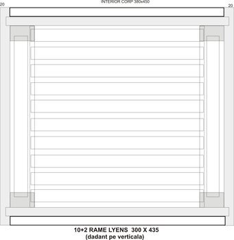 CORP LYENS ( 2xME sau DADANT+MAGAZIN ).jpg