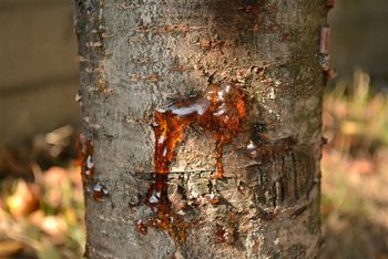 DSC_0006 (Small).JPG