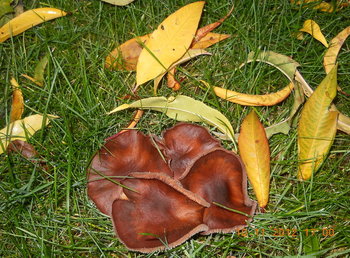 rsz_3dscn4413.jpg