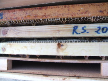 rsz_dscf8761.jpg