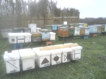 P20-11-12_14.30.jpg