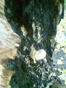 DSC07460.jpg