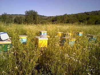 P170612_18.44.jpg