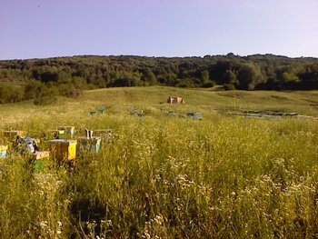 P170612_18.44_[02].jpg